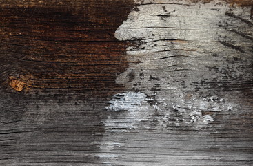 Painted old wood suggesting hidden images like man, animal head