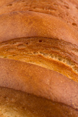 Fragment of long loaf white bread