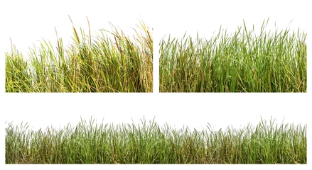 Fotobehang Wild grasses © ohsuriya