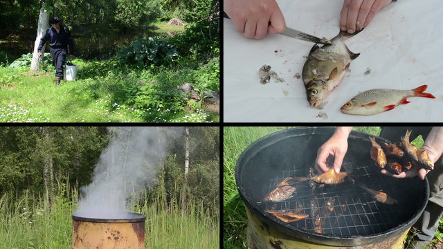 Fresh fish cleaning and preparing. Video clips collage.
