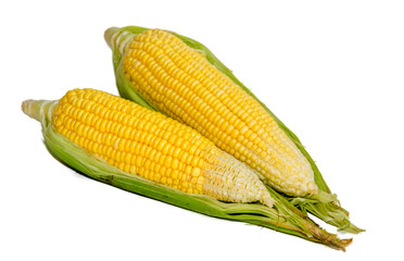 corn