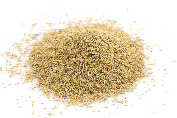 Rosemary spice herb closeup on white