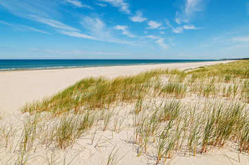 Fototapeta na wymiar Grass on dunes on beautiful Baltic Sea beach near Leba, Poland