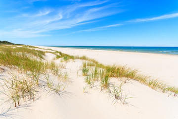 Grass on dunes on beautiful Baltic Sea beach near Leba, Poland