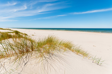 Grass on dunes on beautiful Baltic Sea beach near Leba, Poland - obrazy, fototapety, plakaty