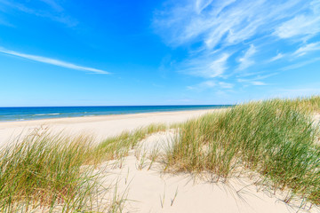 Fototapeta na wymiar Grass on dunes on beautiful Baltic Sea beach near Leba, Poland