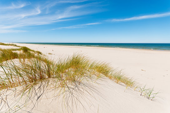 Fototapeta Grass on dunes on beautiful Baltic Sea beach near Leba, Poland