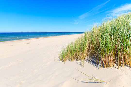 Grass on dunes on beautiful Baltic Sea beach near Leba, Poland © pkazmierczak