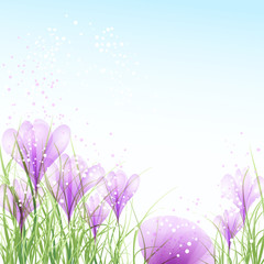 Obraz na płótnie Canvas Easter eggs with pink crocuses