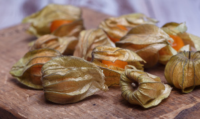 physalis