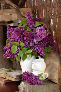 a bouquet of lilac , lilac flowers on wooden bacground - May