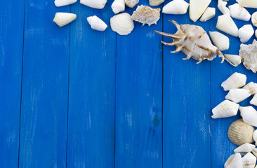 Different shells in the corner on wooden vintage blue plate
