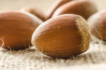 Unbroken hazelnuts extreme closeup on the bagging