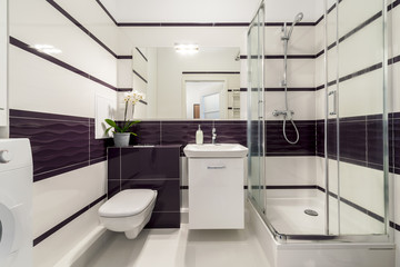 Modern bathroom with shower cubicle