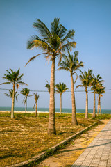 Fototapeta na wymiar Palms against blue sky