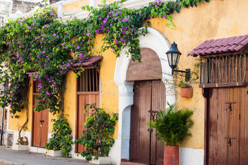 Fototapeta na wymiar Hermosas calles y fachadas de las casas coloniales de la ciudad amurallada de Cartagena de Indias en Colombia. Casa amarilla con enredadera
