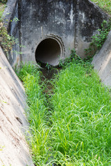 Grass in old drainage channel