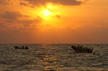 Boats Birds Ocean Silhouette