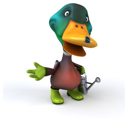 Fun duck