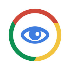 Vector Chrome Icon