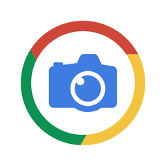 Vector Chrome Icon