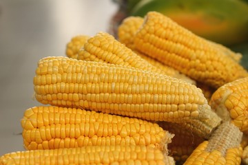 Fresh corn at the market