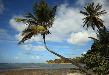 marée basse sur côte de république dominicaine