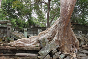 Ruins of Beng Mealea Temple, Angkor, Cambodia