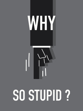 Words WHY SO STUPID