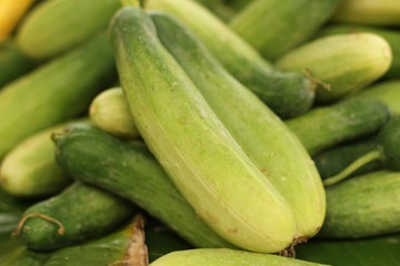 Fresh cucumber in the market