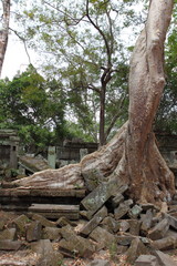 Fototapeta na wymiar Ruins of Beng Mealea Temple, Angkor, Cambodia