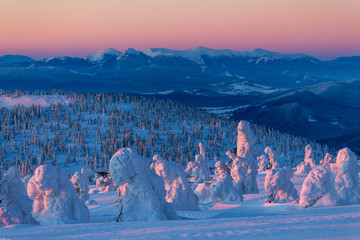 Obraz premium Sunrise