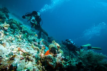 Photo sur Plexiglas Plonger plongeur prendre une photo vidéo corail kapoposang indonésie plongée sous-marine