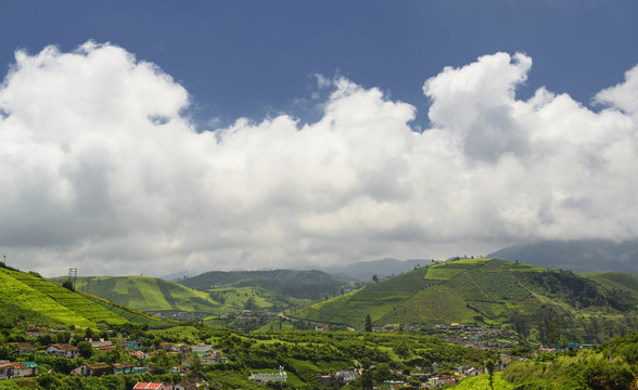Agricultural land in Ooty (Nilgiris), Tamilnadu, India
