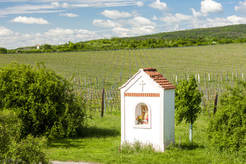 God's torture near Hnanice with spring vineyard, Southern Morav