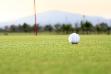 golf ball on green course