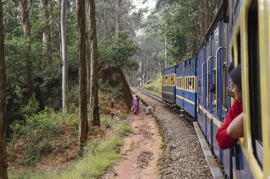 Fototapeta Nilgiri Mountain train to Ooty