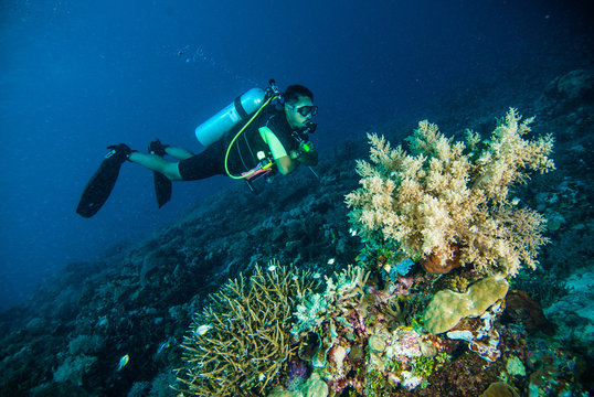 scuba diving diver kapoposang sulawesi indonesia underwater