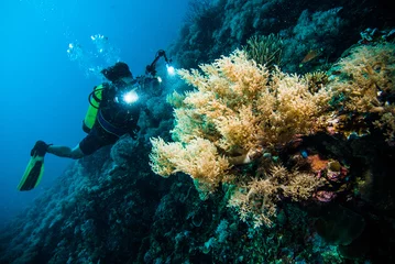 Keuken spatwand met foto duiker maak een foto video koraal kapoposang indonesië duiken © fenkieandreas