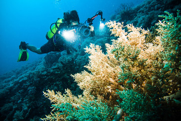 plongeur prendre une photo vidéo corail kapoposang indonésie plongée sous-marine