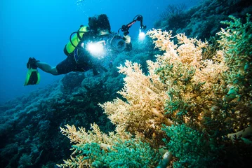 Crédence de cuisine en verre imprimé Plonger plongeur prendre une photo vidéo corail kapoposang indonésie plongée sous-marine