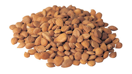 한약재 오브젝트