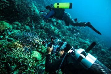 Crédence de cuisine en verre imprimé Plonger plongeur prendre photo vidéo corail kapoposang indonésie plongée sous-marine