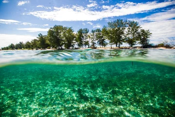 Rolgordijnen crystal clear water kapoposang indonesia scuba diver © fenkieandreas