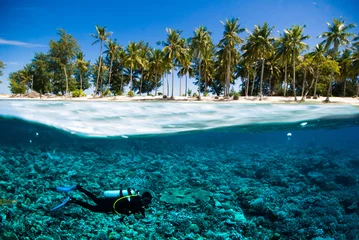 Photo sur Plexiglas Plonger plongée sous-marine île de kapoposang indonésie bali lombok