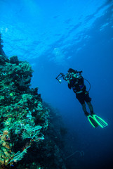 Naklejka na ściany i meble diver photo video seafan kapoposang indonesia scuba diving