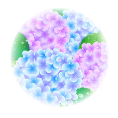 あじさい　梅雨　背景