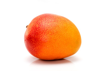 Mangue
