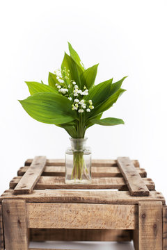 Lilies of the valley in a wooden crate