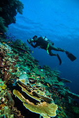 diver photo video seafan kapoposang indonesia scuba diving